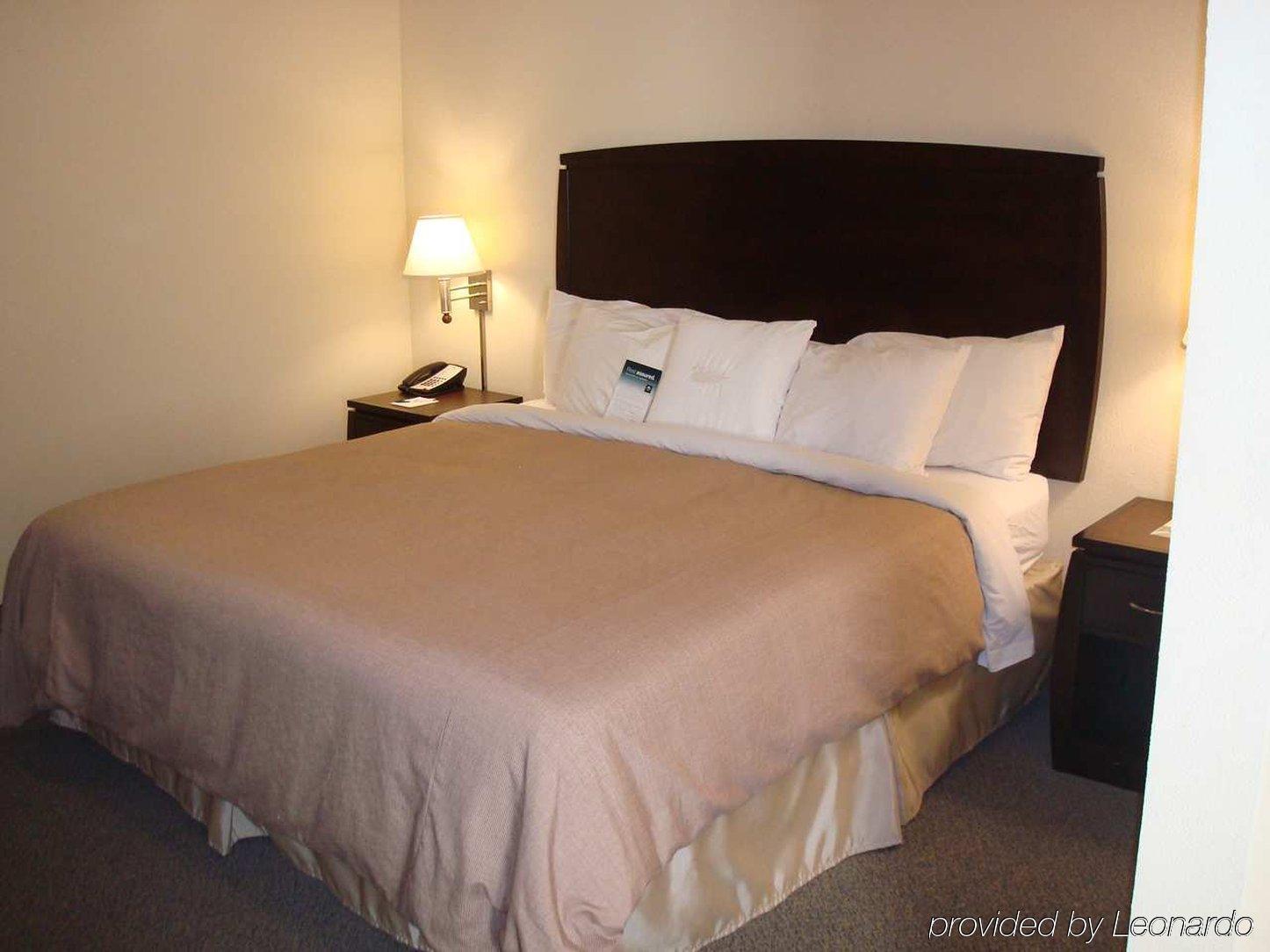 Homewood Suites By Hilton Sarasota Rum bild